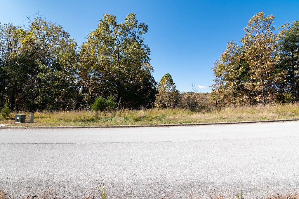 Photo 5 - Land for sale – Lot 4  Redwine Avenue  Branson, MO