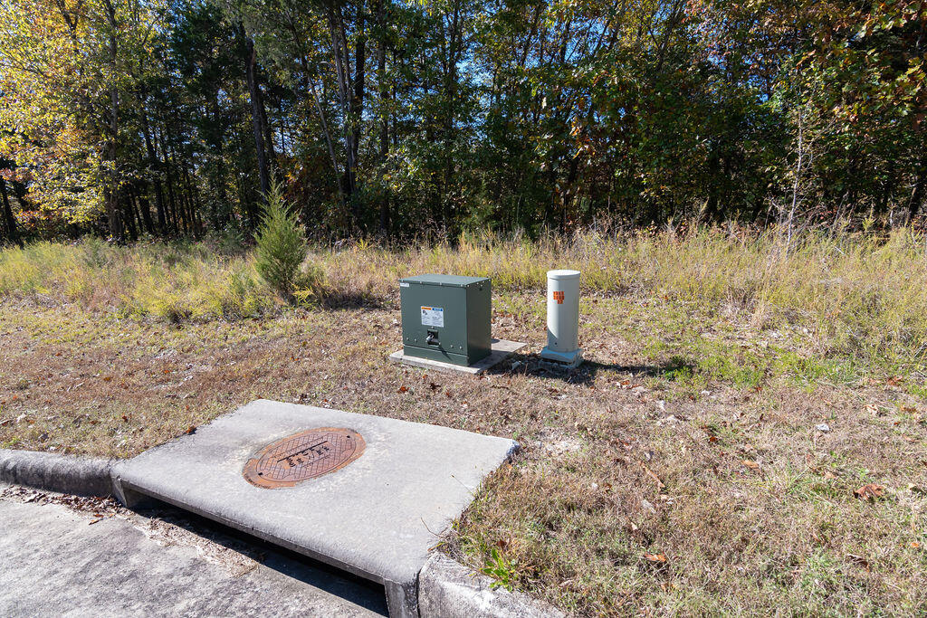 Photo 6 - Land for sale – Lot 4  Redwine Avenue  Branson, MO