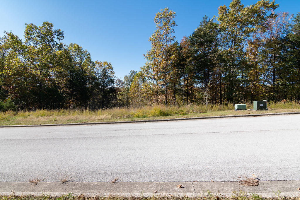 Photo 5 - Land for sale – Lot 5  Redwine Avenue  Branson, MO