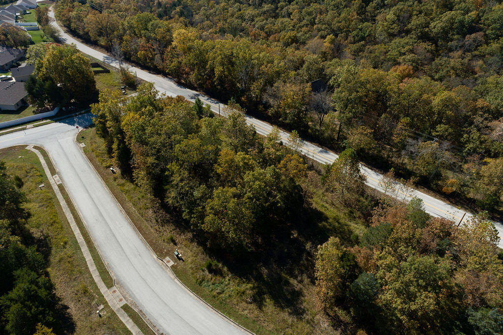 Photo 2 - Land for sale – Lot 5  Redwine Avenue  Branson, MO