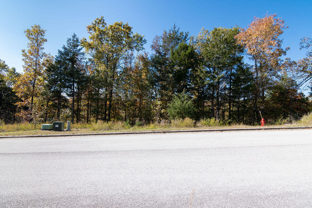 Photo 5 - Land for sale – Lot 6  Redwine Avenue  Branson, MO