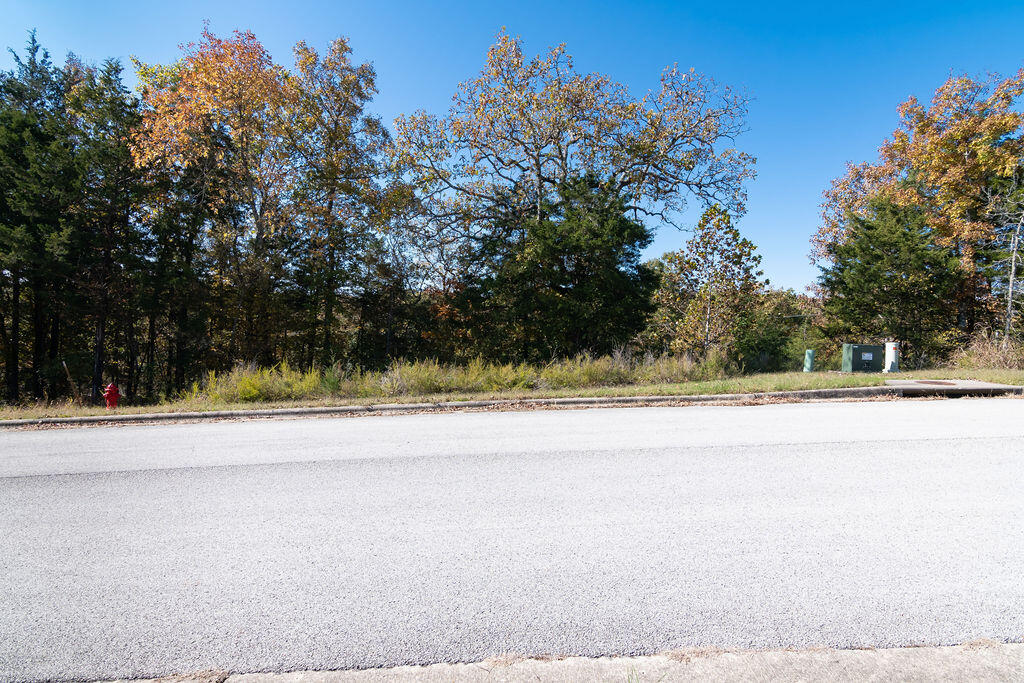 Photo 5 - Land for sale – Lot 7  Redwine Avenue  Branson, MO