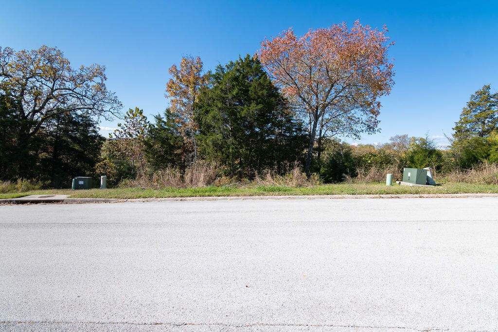 Photo 5 - Land for sale – Lot 8  Redwine Avenue  Branson, MO