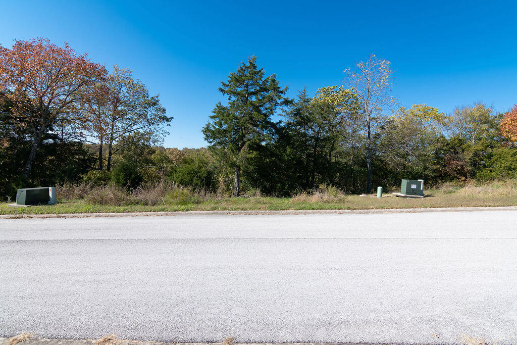 Photo 5 - Land for sale – Lot 9  Redwine Avenue  Branson, MO