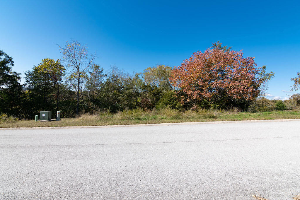 Photo 6 - Land for sale – Lot 10  Redwine Avenue  Branson, MO