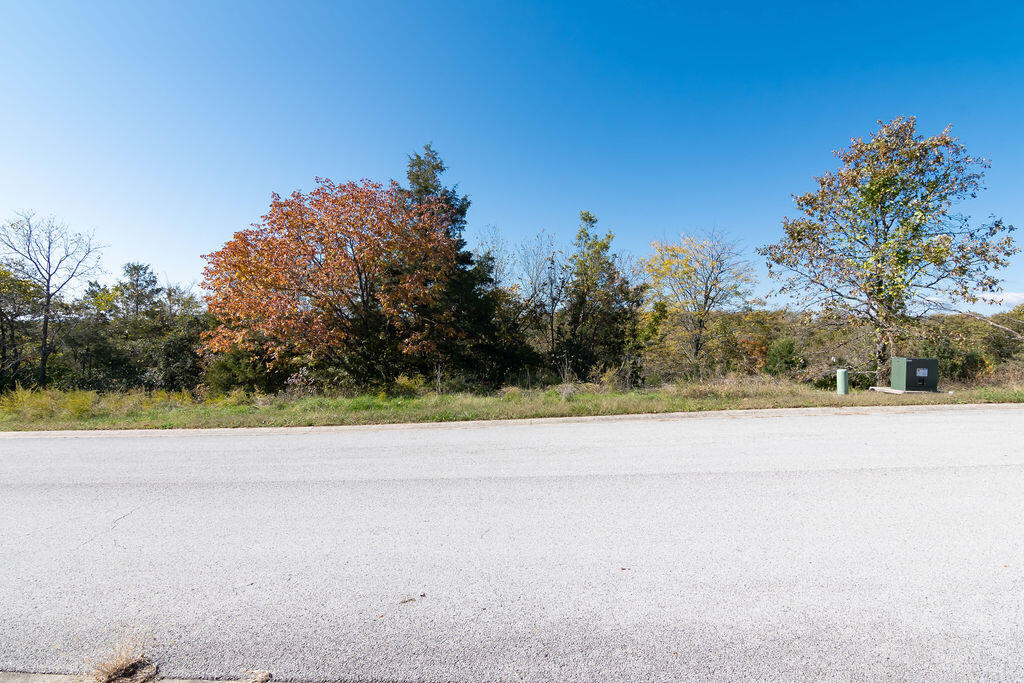 Photo 6 - Land for sale – Lot 11  Redwine Avenue  Branson, MO