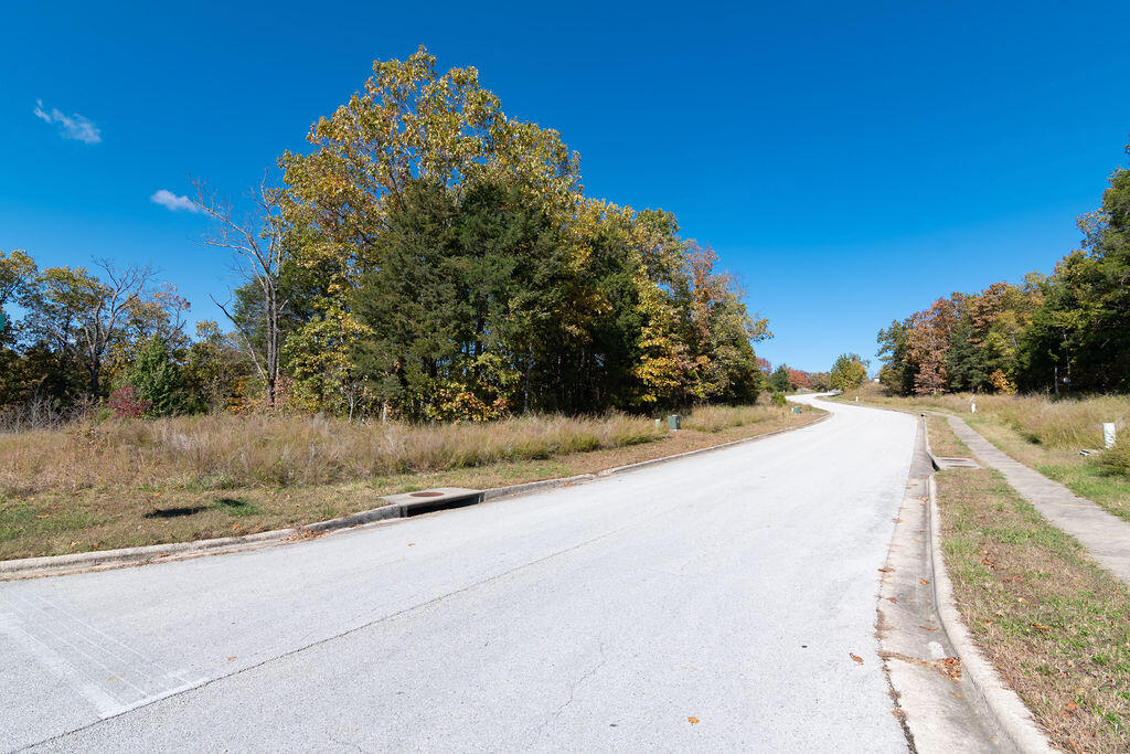 Photo 7 - Land for sale – Lot 11  Redwine Avenue  Branson, MO