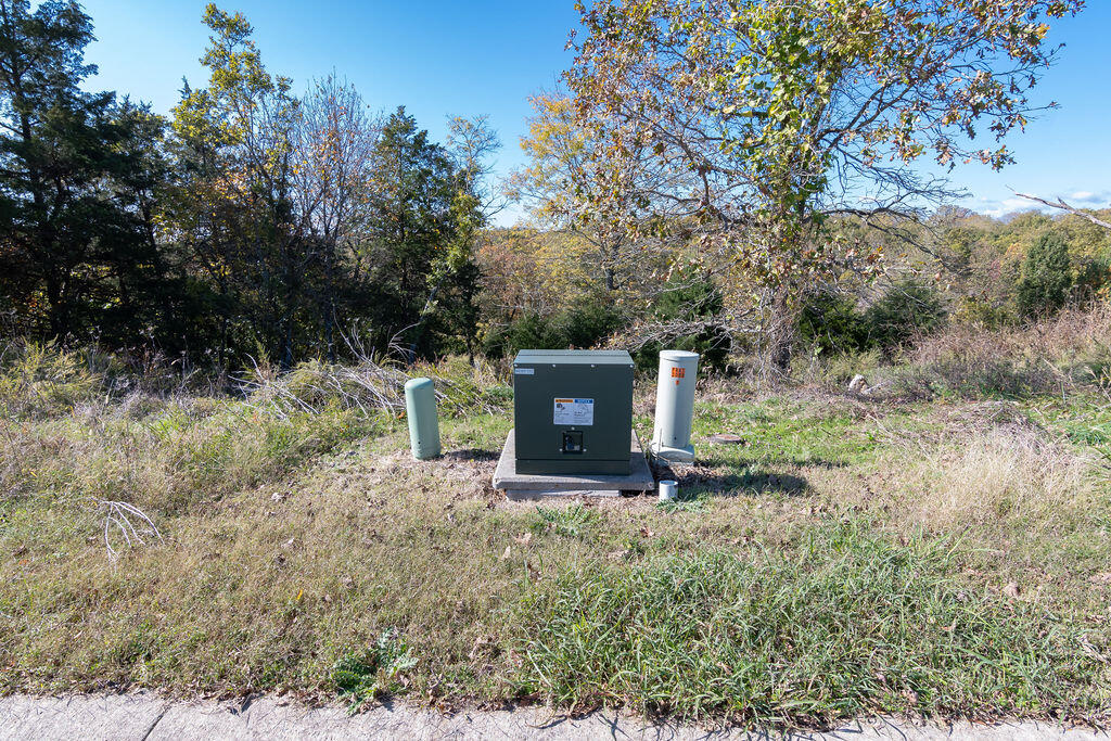 Photo 7 - Land for sale – Lot 12  Redwine Avenue  Branson, MO