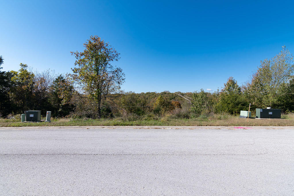 Photo 6 - Land for sale – Lot 12  Redwine Avenue  Branson, MO