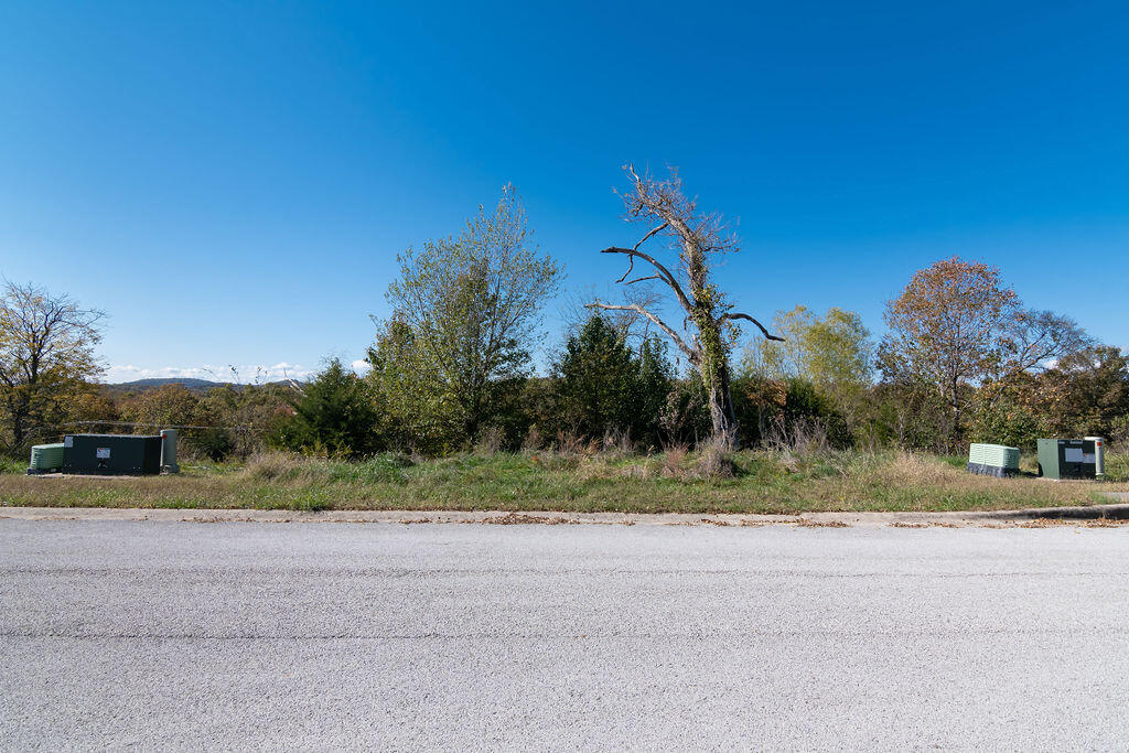Photo 6 - Land for sale – Lot 13  Redwine Avenue  Branson, MO