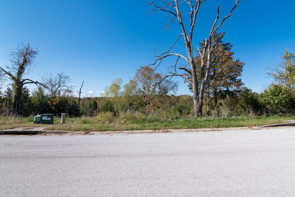 Photo 6 - Land for sale – Lot 14  Redwine Avenue  Branson, MO