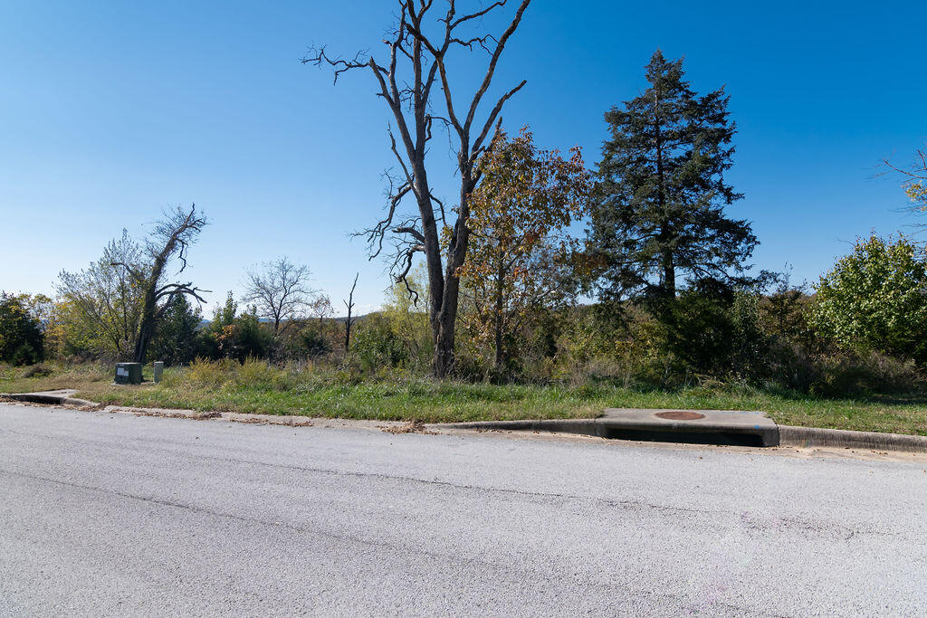 Photo 7 - Land for sale – Lot 14  Redwine Avenue  Branson, MO
