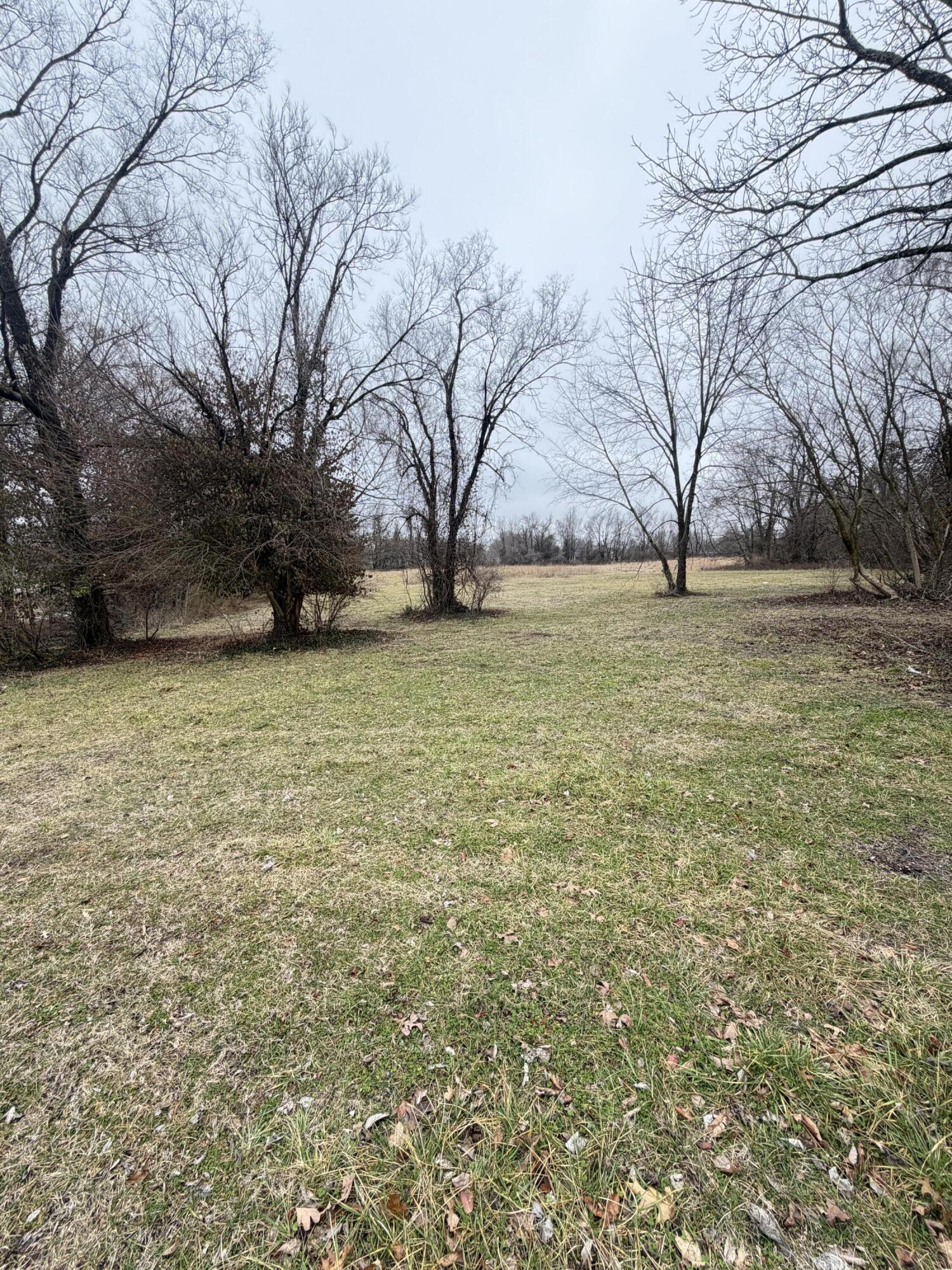 Photo 2 - Land for sale – 2754 E Grand Street  Springfield, MO