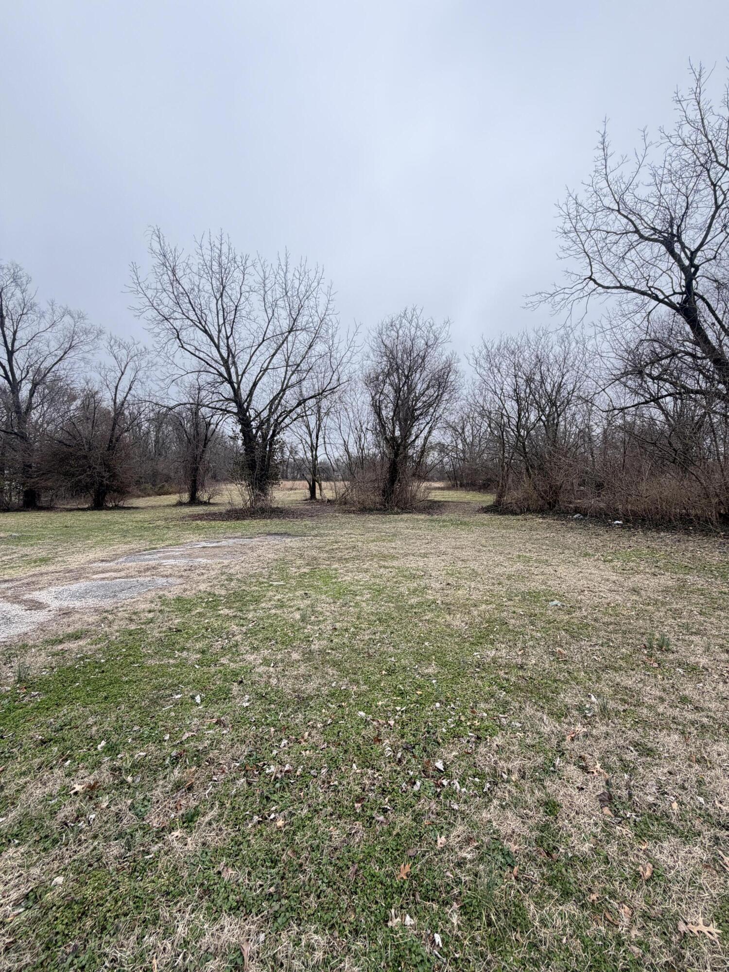 Photo 3 - Land for sale – 2754 E Grand Street  Springfield, MO