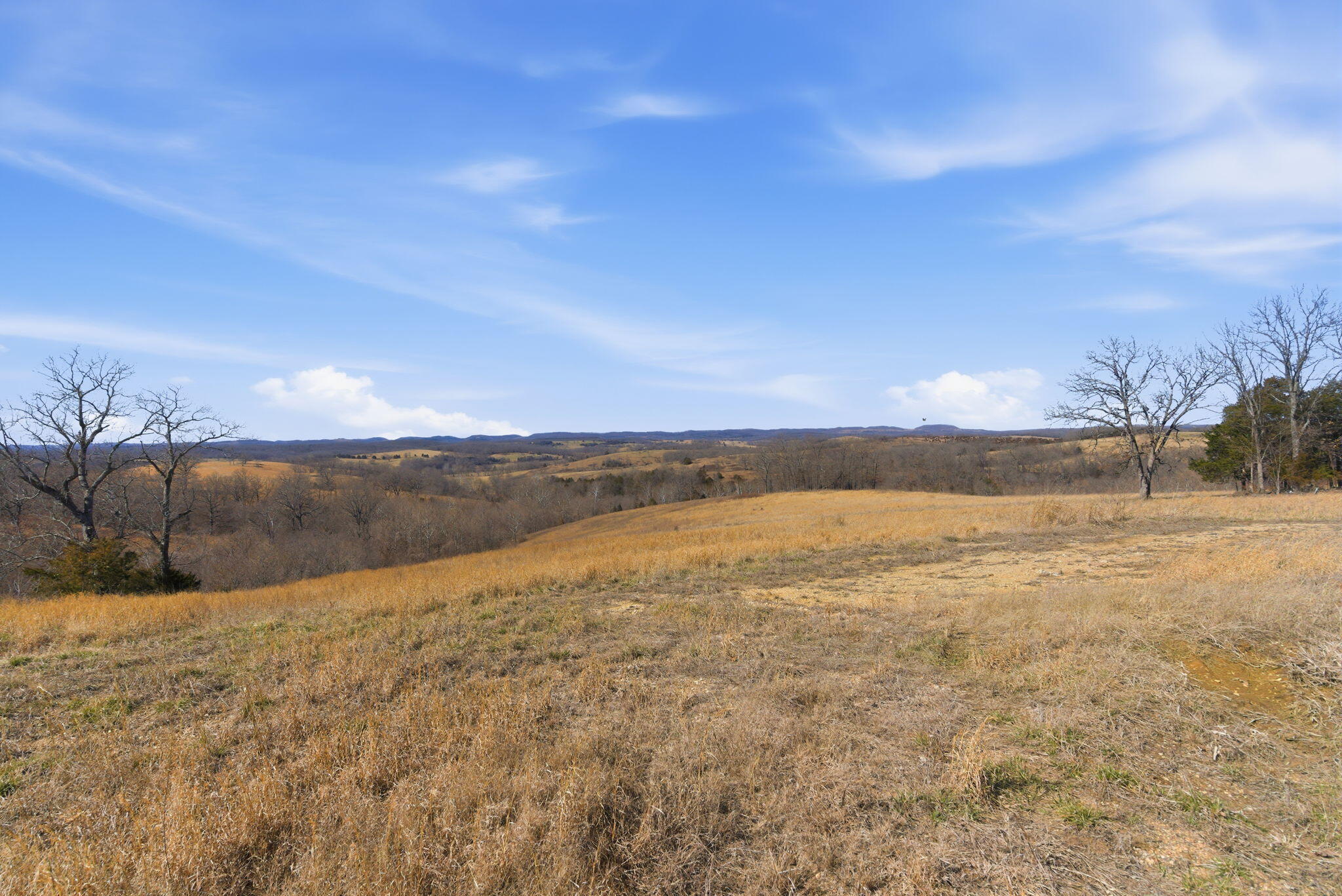 Photo 3 - Land for sale – 000  State Hwy Jj Tract 1   Thornfield, MO