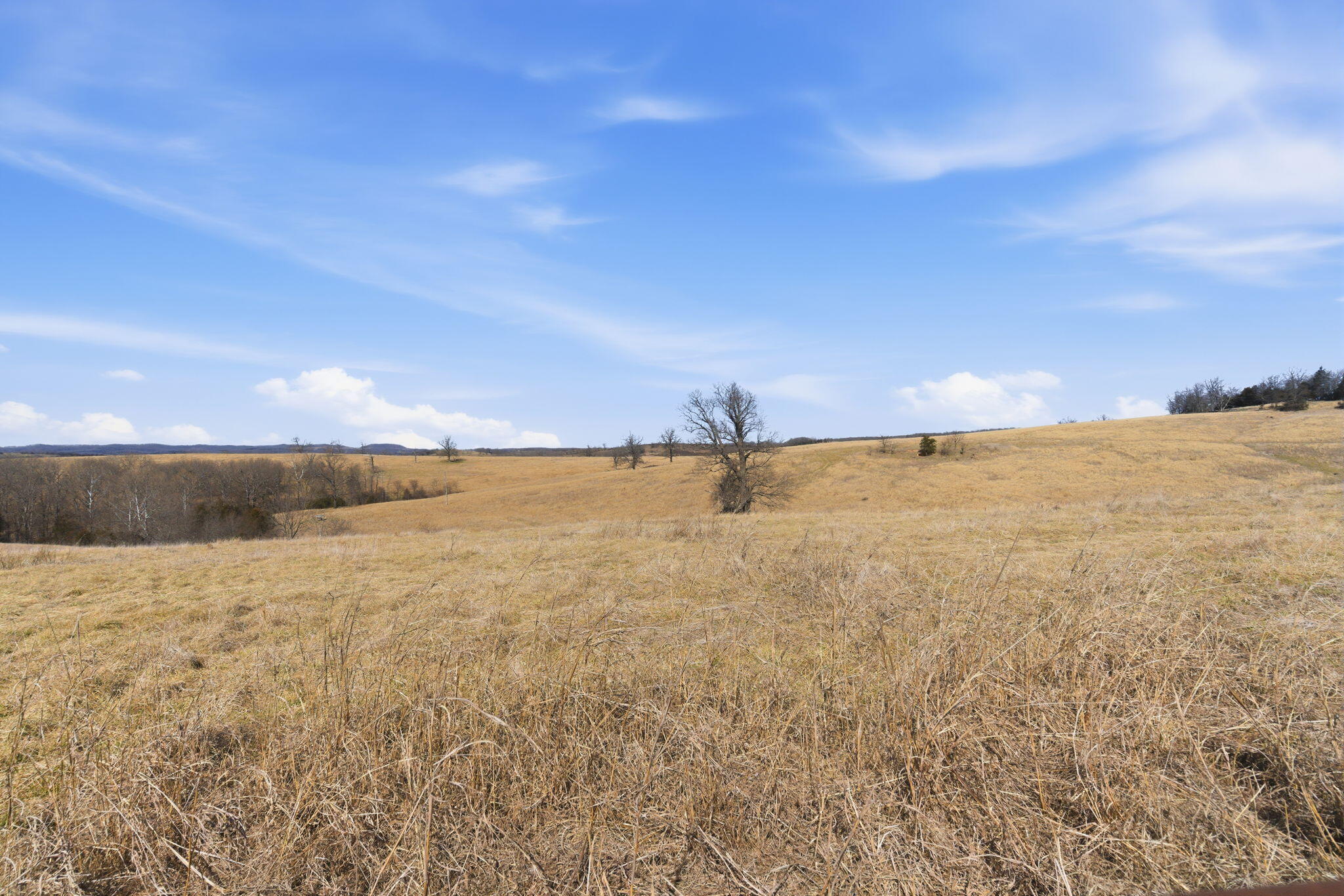 Photo 5 - Land for sale – 000  State Hwy Jj Tract 1   Thornfield, MO