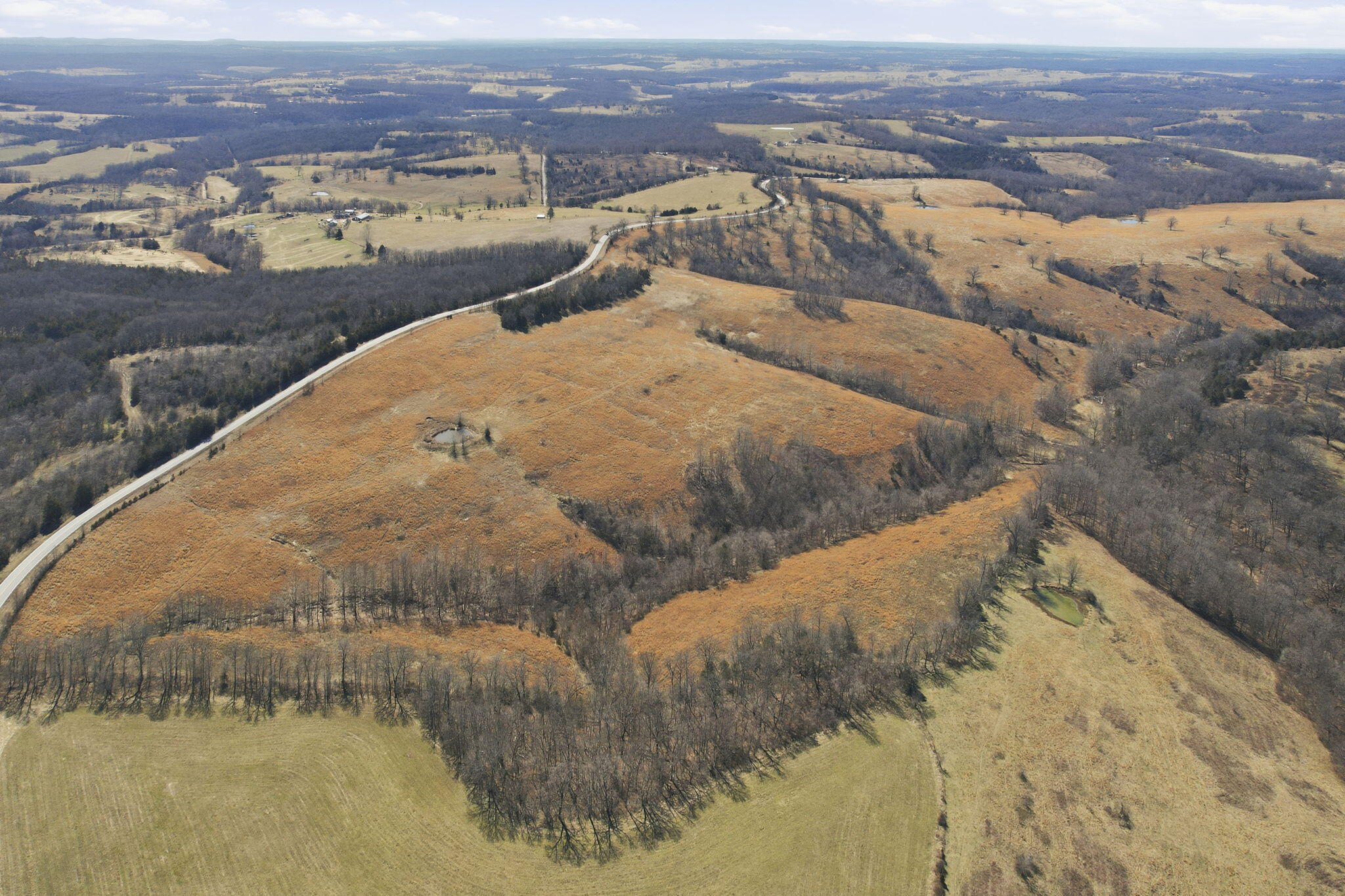Photo 7 - Land for sale – 000  State Hwy Jj Tract 1   Thornfield, MO