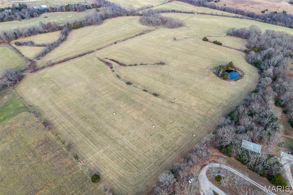 Photo 33 - Land for sale – 000  Pine Tree Drive  Lebanon, MO