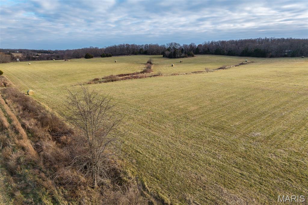 Photo 3 - Land for sale – 000  Pine Tree Drive  Lebanon, MO