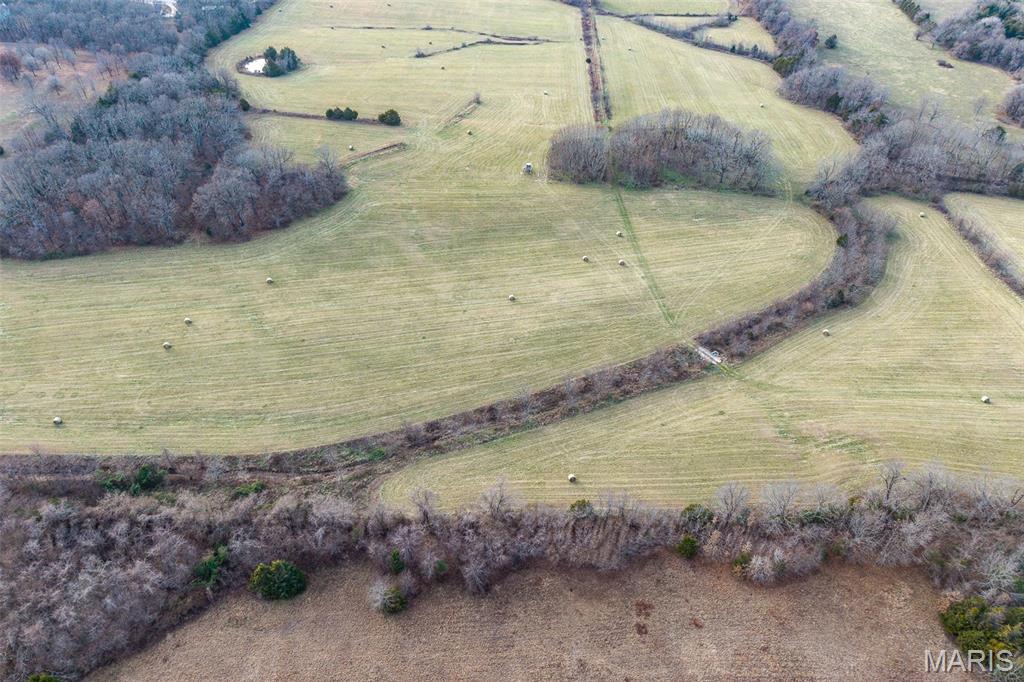 Photo 28 - Land for sale – 000  Pine Tree Drive  Lebanon, MO