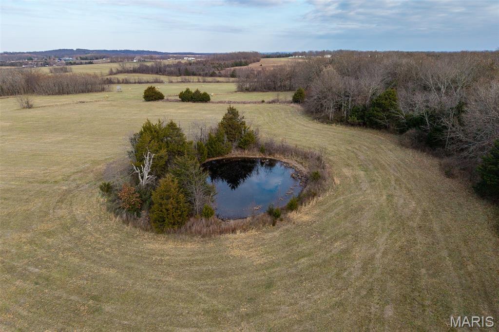 Photo 36 - Land for sale – 000  Pine Tree Drive  Lebanon, MO