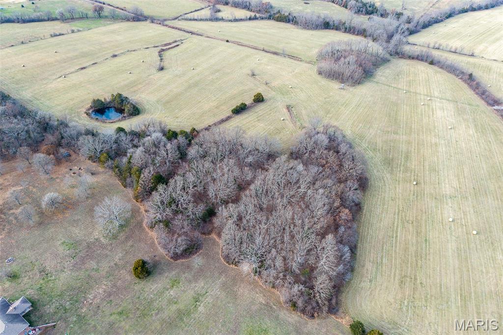 Photo 30 - Land for sale – 000  Pine Tree Drive  Lebanon, MO
