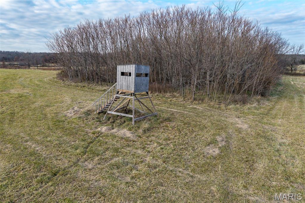 Photo 41 - Land for sale – 000  Pine Tree Drive  Lebanon, MO