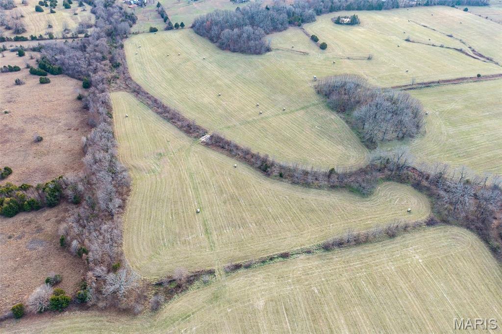 Photo 25 - Land for sale – 000  Pine Tree Drive  Lebanon, MO