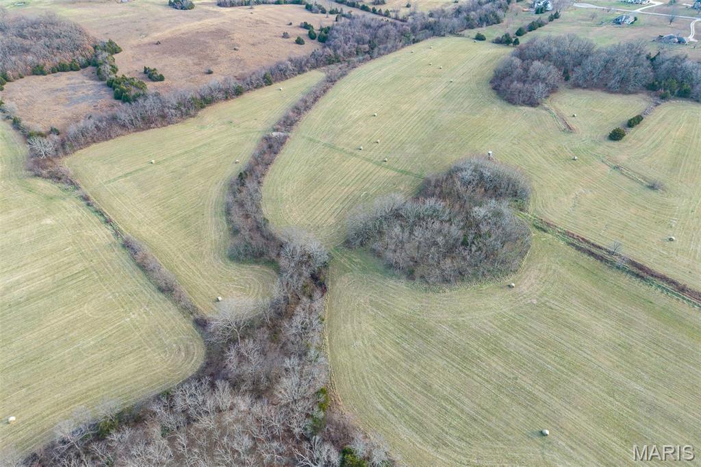 Photo 23 - Land for sale – 000  Pine Tree Drive  Lebanon, MO