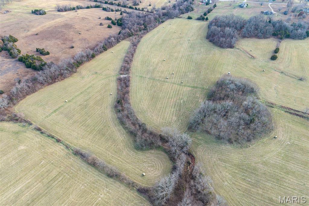 Photo 24 - Land for sale – 000  Pine Tree Drive  Lebanon, MO