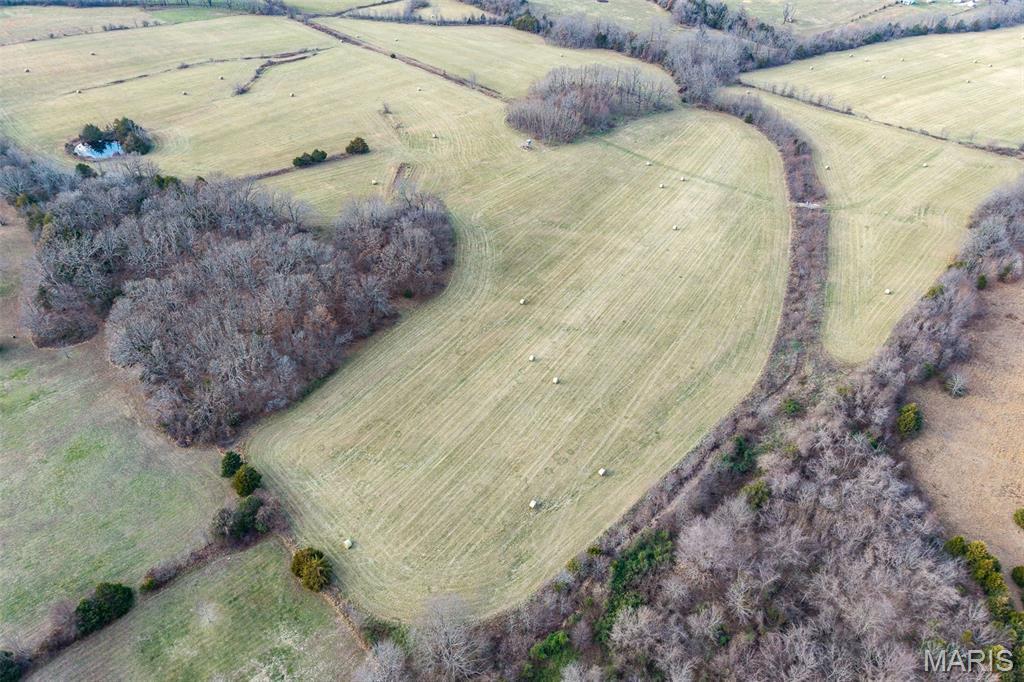 Photo 29 - Land for sale – 000  Pine Tree Drive  Lebanon, MO
