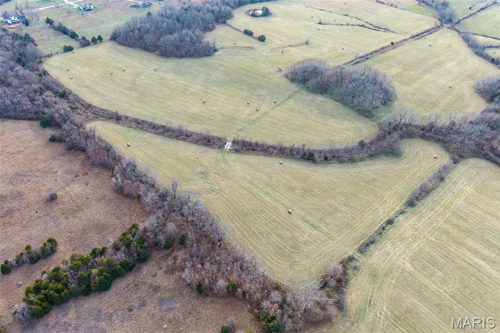 Photo 26 - Land for sale – 000  Pine Tree Drive  Lebanon, MO