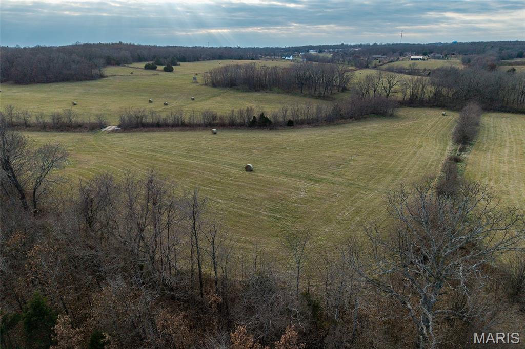 Photo 47 - Land for sale – 000  Pine Tree Drive  Lebanon, MO