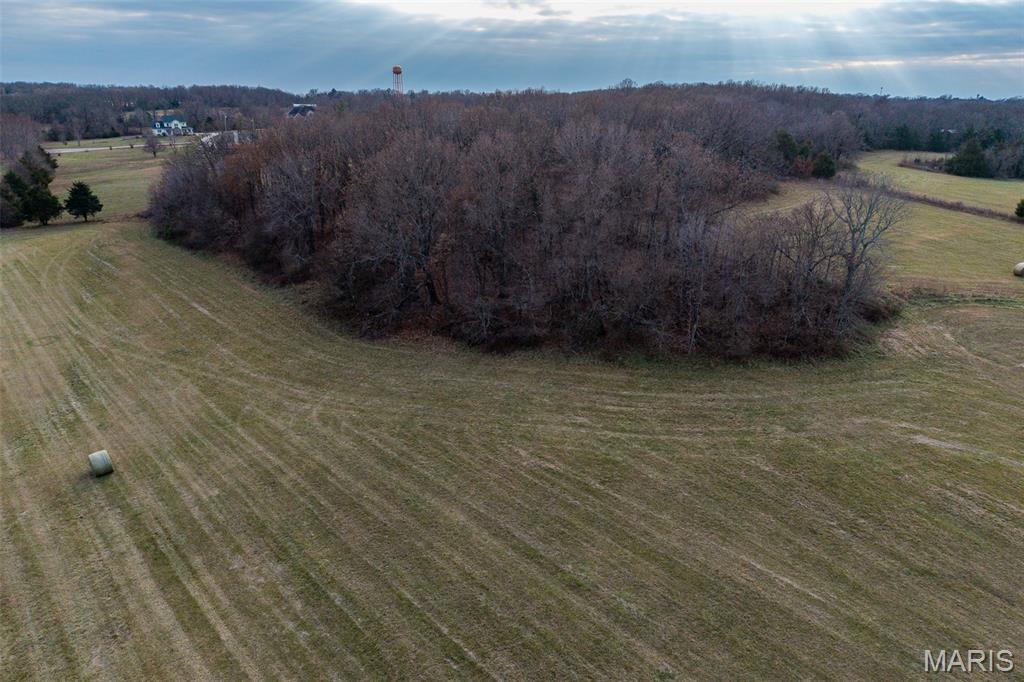 Photo 42 - Land for sale – 000  Pine Tree Drive  Lebanon, MO