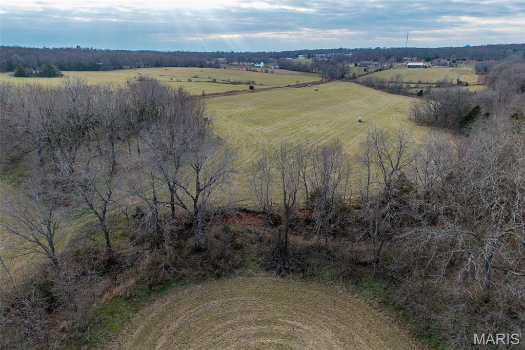 Photo 48 - Land for sale – 000  Pine Tree Drive  Lebanon, MO