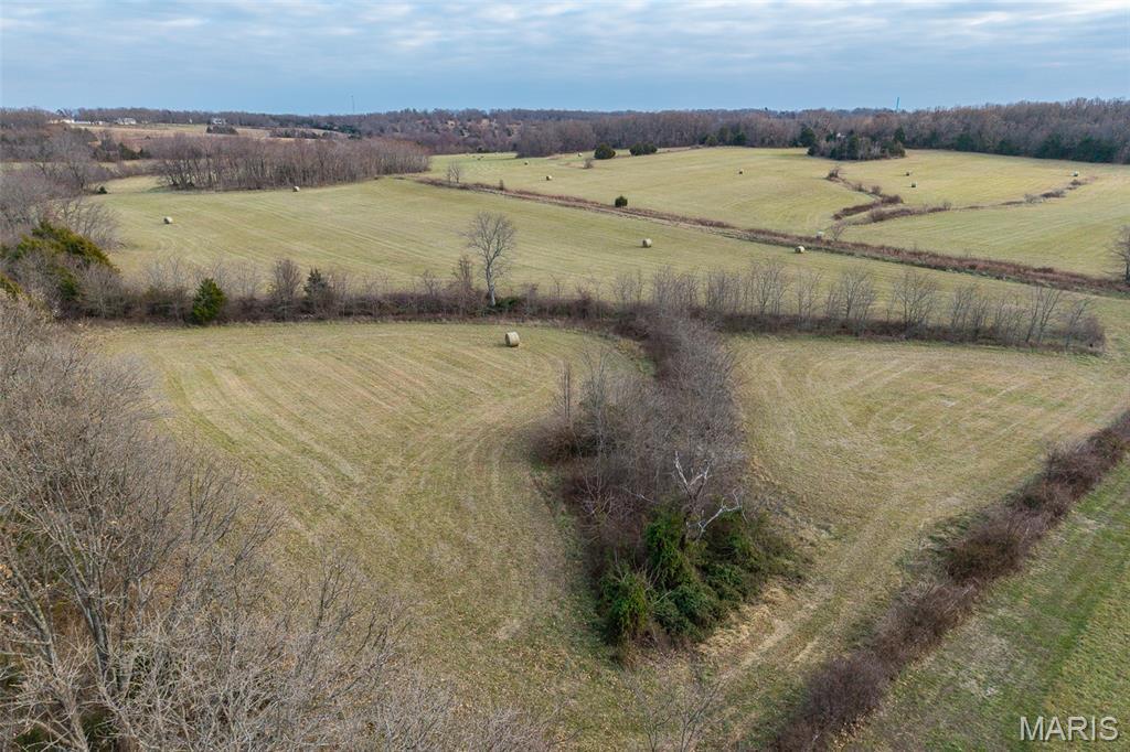 Photo 49 - Land for sale – 000  Pine Tree Drive  Lebanon, MO