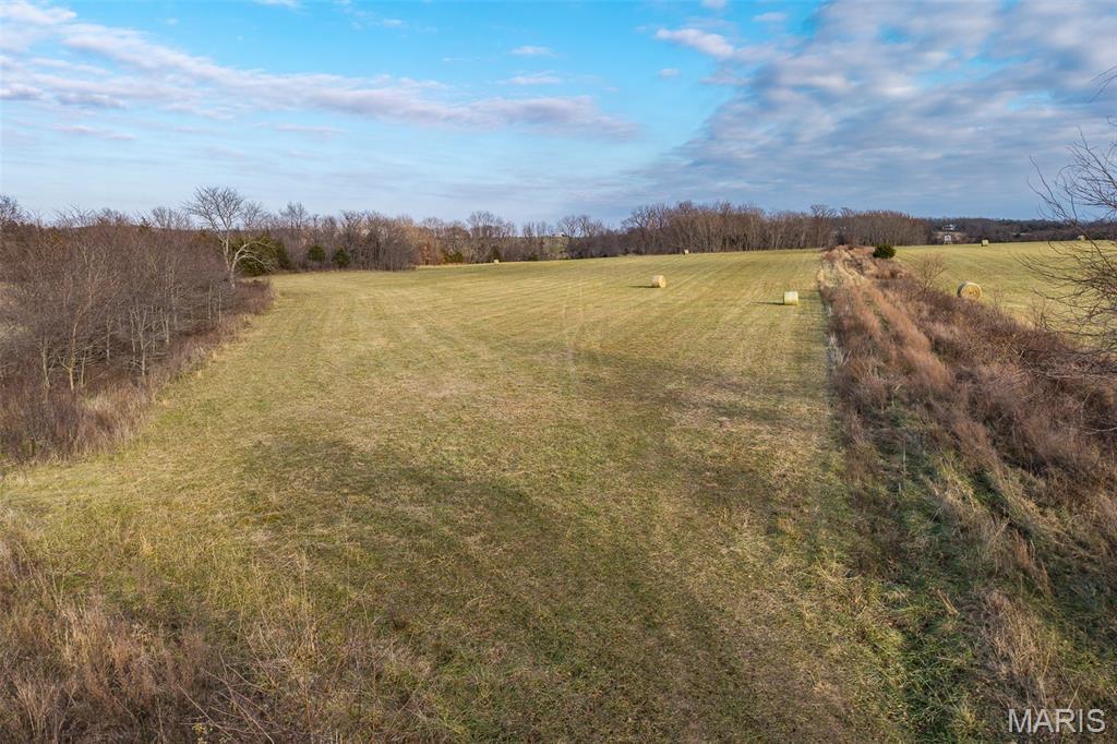Photo 2 - Land for sale – 000  Pine Tree Drive  Lebanon, MO
