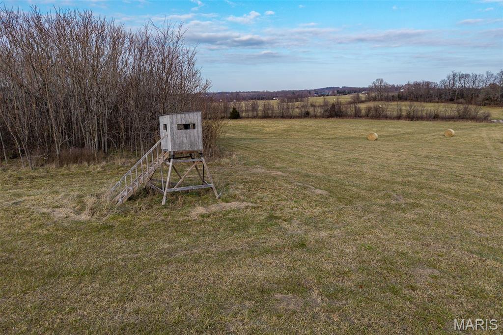 Photo 40 - Land for sale – 000  Pine Tree Drive  Lebanon, MO