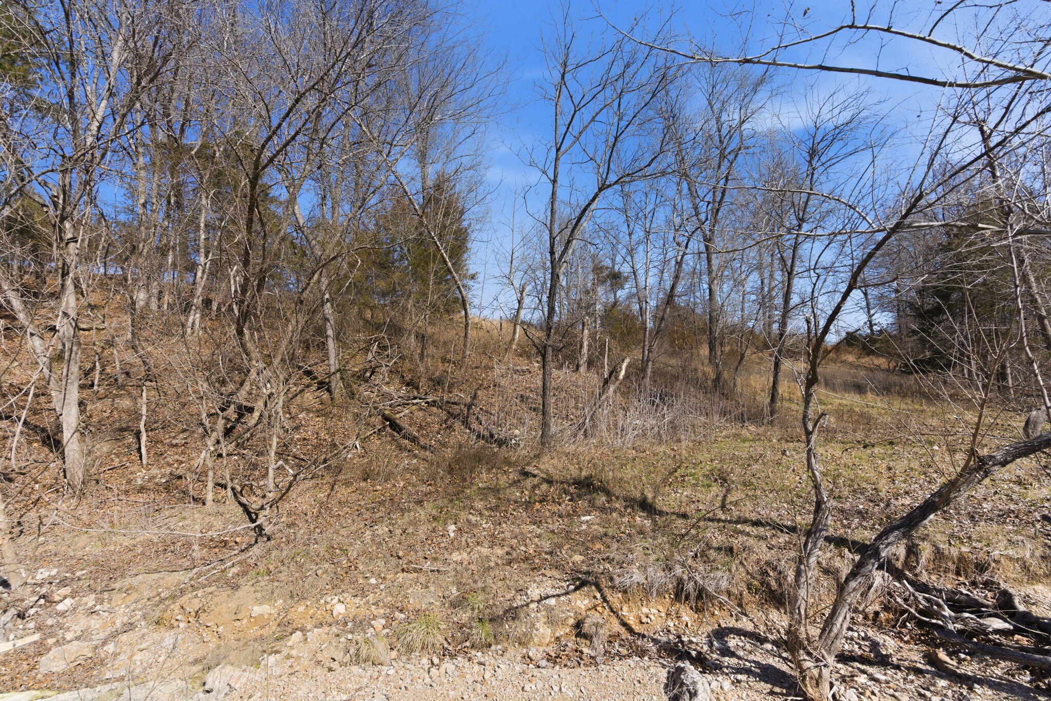 Photo 3 - Land for sale – 000  State Hwy Jj Tract 2   Thornfield, MO