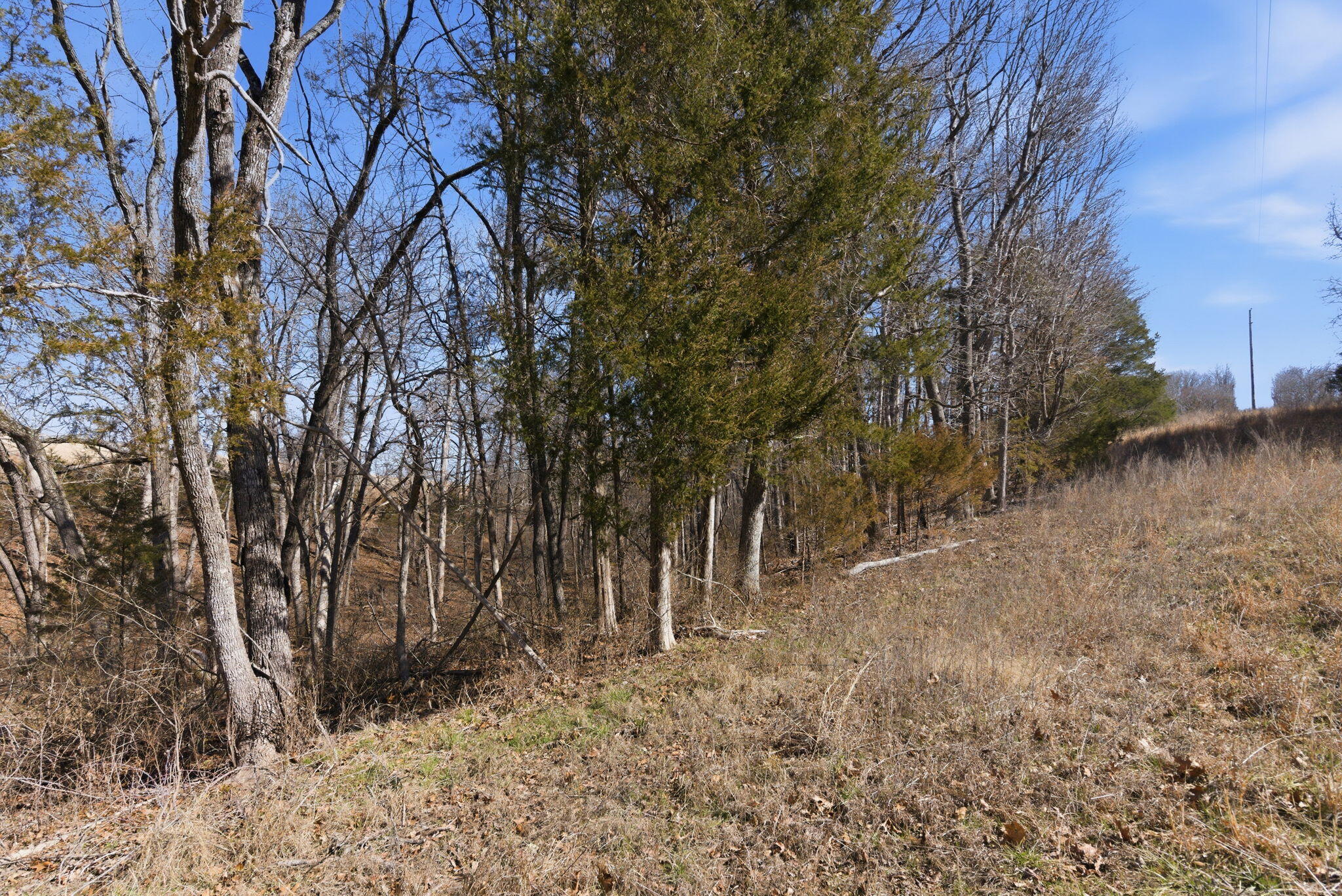 Photo 4 - Land for sale – 000  State Hwy Jj Tract 2   Thornfield, MO