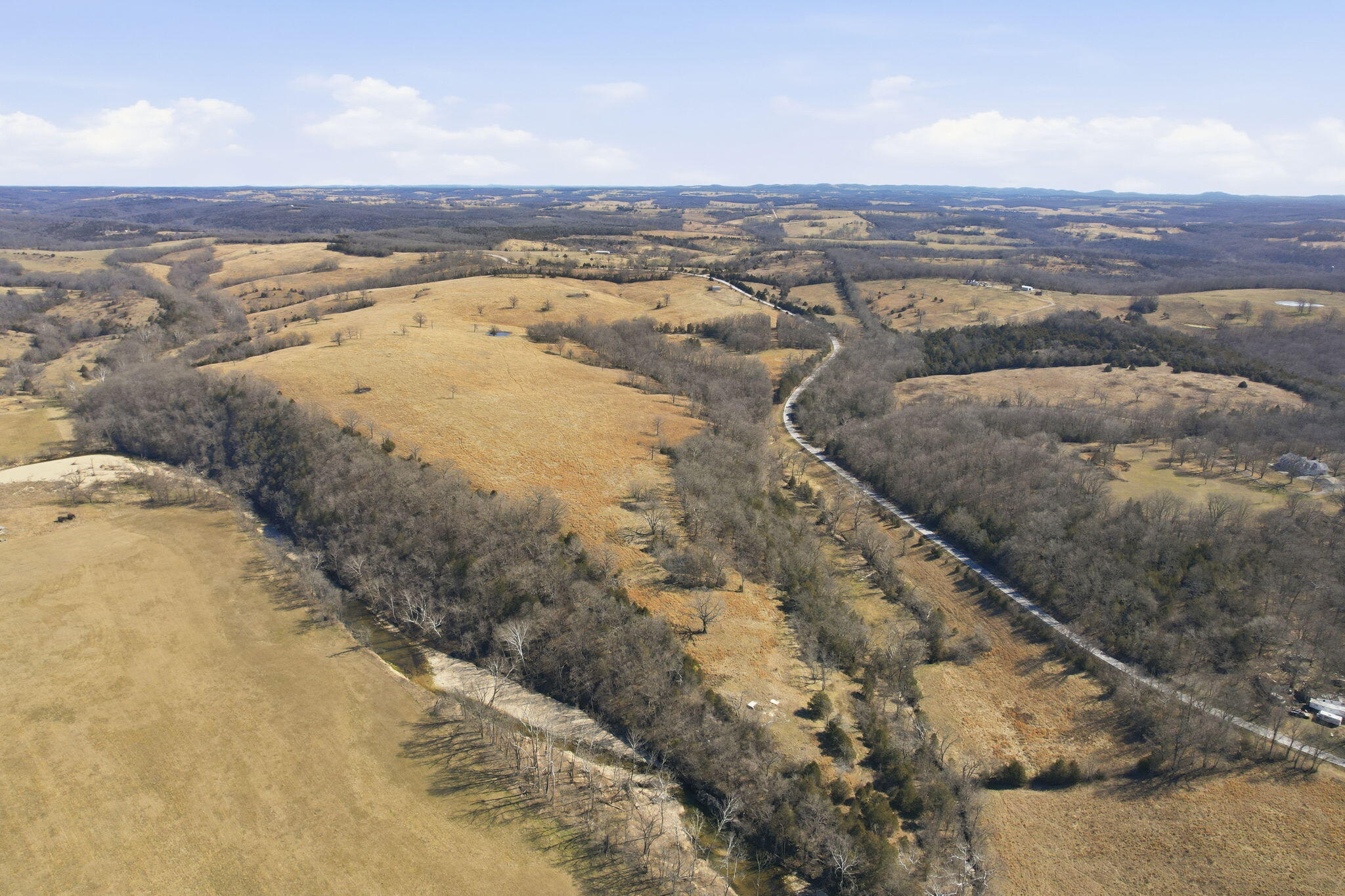 Photo 7 - Land for sale – 000  State Hwy Jj Tract 2   Thornfield, MO