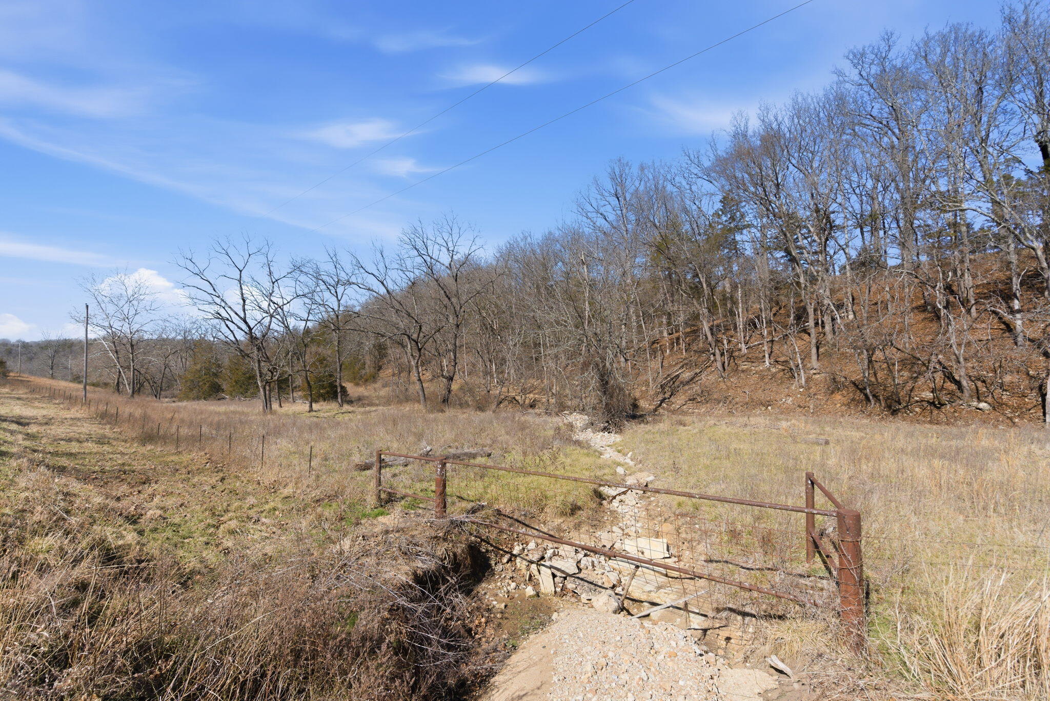 Photo 2 - Land for sale – 000  State Hwy Jj Tract 2   Thornfield, MO