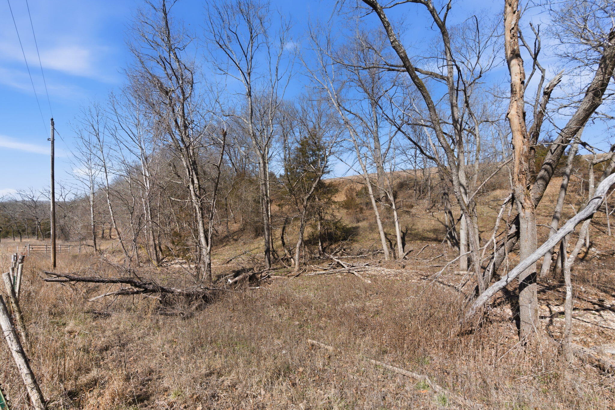 Photo 5 - Land for sale – 000  State Hwy Jj Tract 2   Thornfield, MO