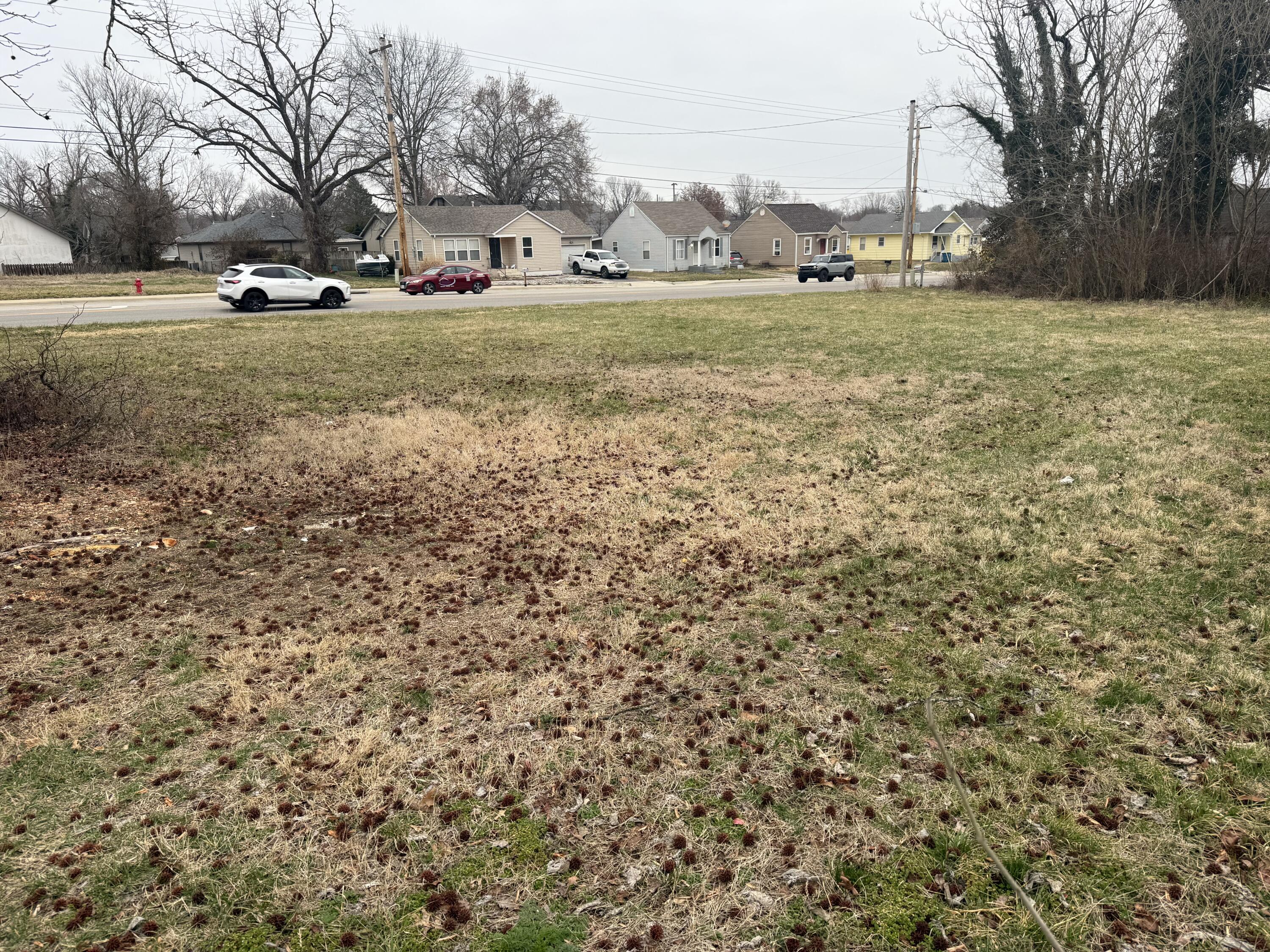 Photo 2 - Commercial Sale for sale – 402 E Mount Vernon Street  Nixa, MO