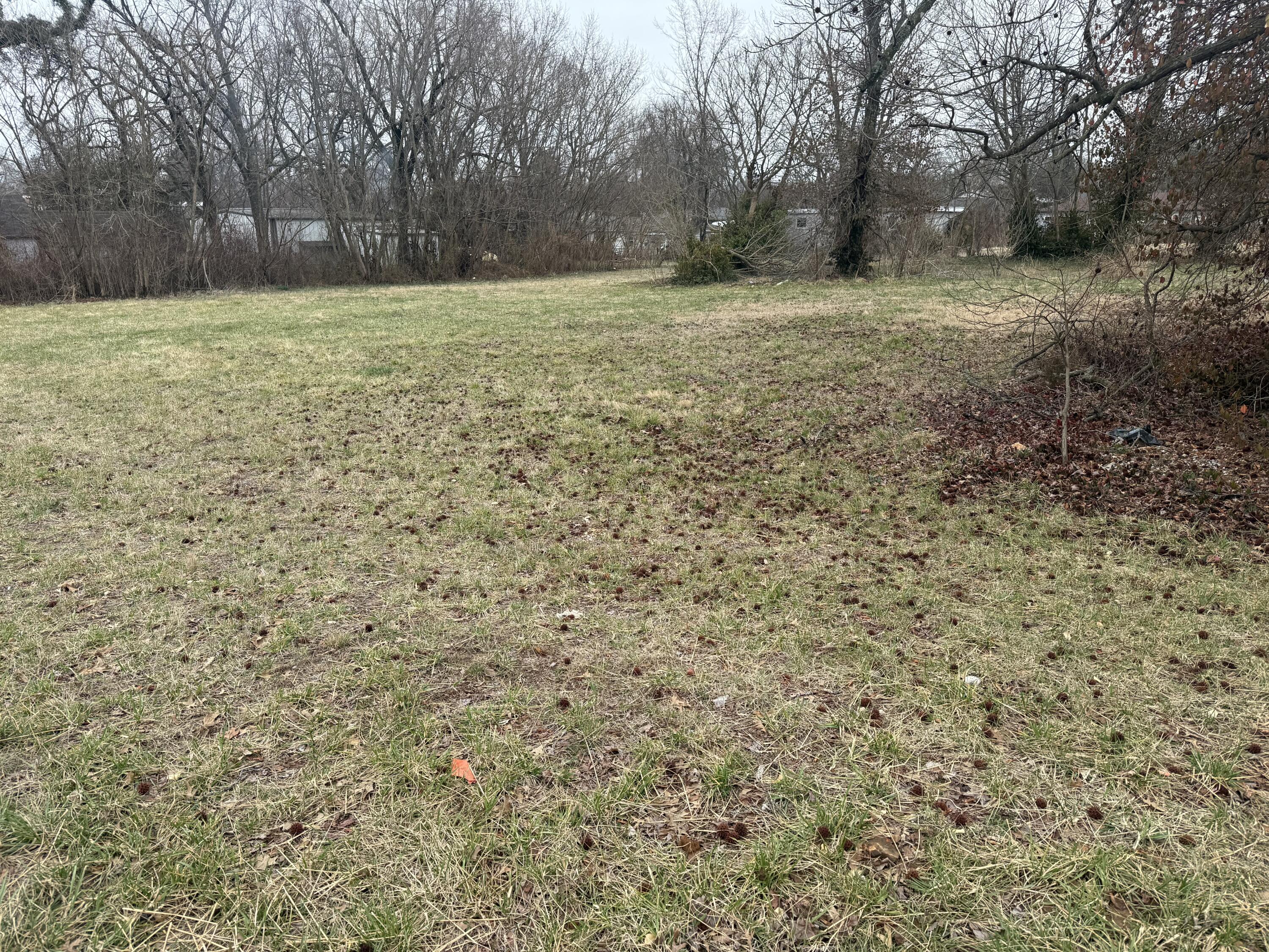 Commercial Sale for sale – 402 E Mount Vernon Street Nixa, MO