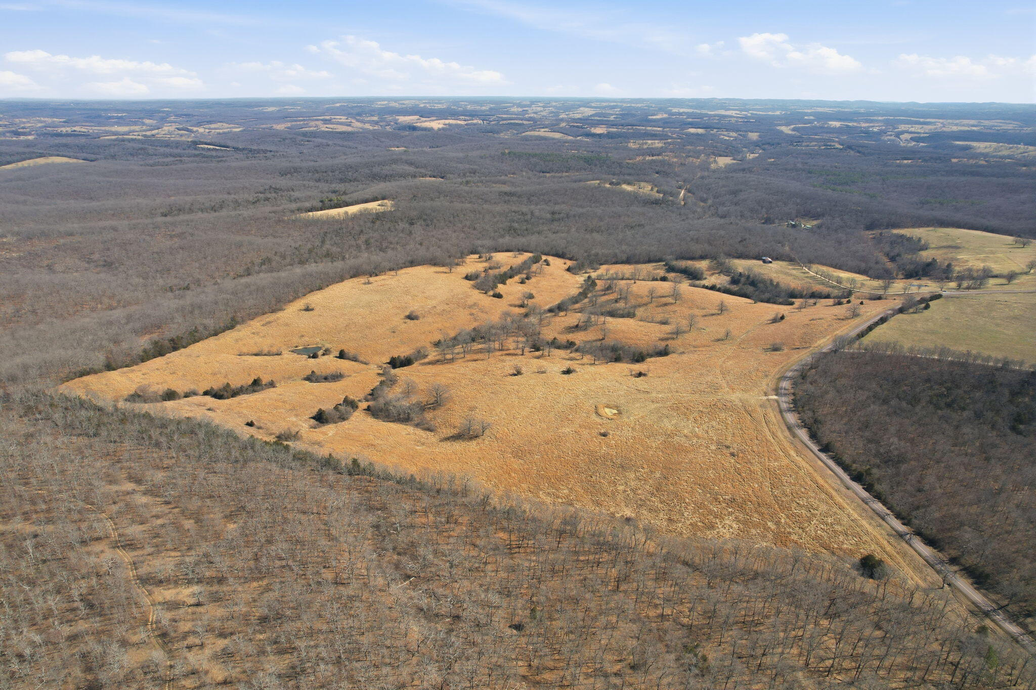 Photo 9 - Land for sale – 000  State Highway D Tract 1   Thornfield, MO
