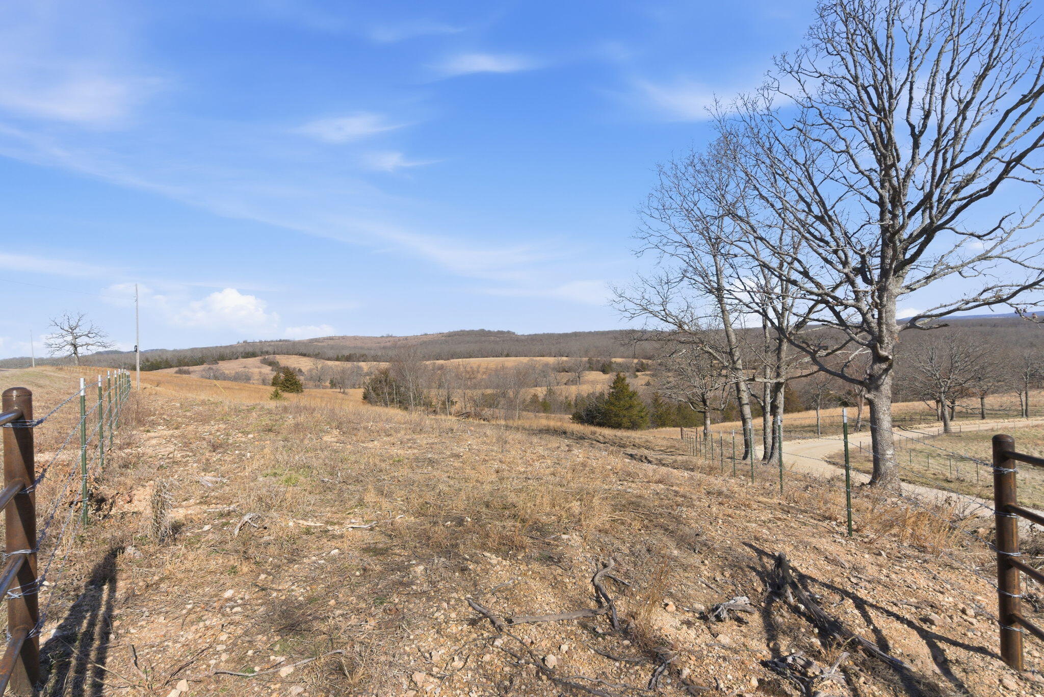 Photo 2 - Land for sale – 000  State Highway D Tract 1   Thornfield, MO
