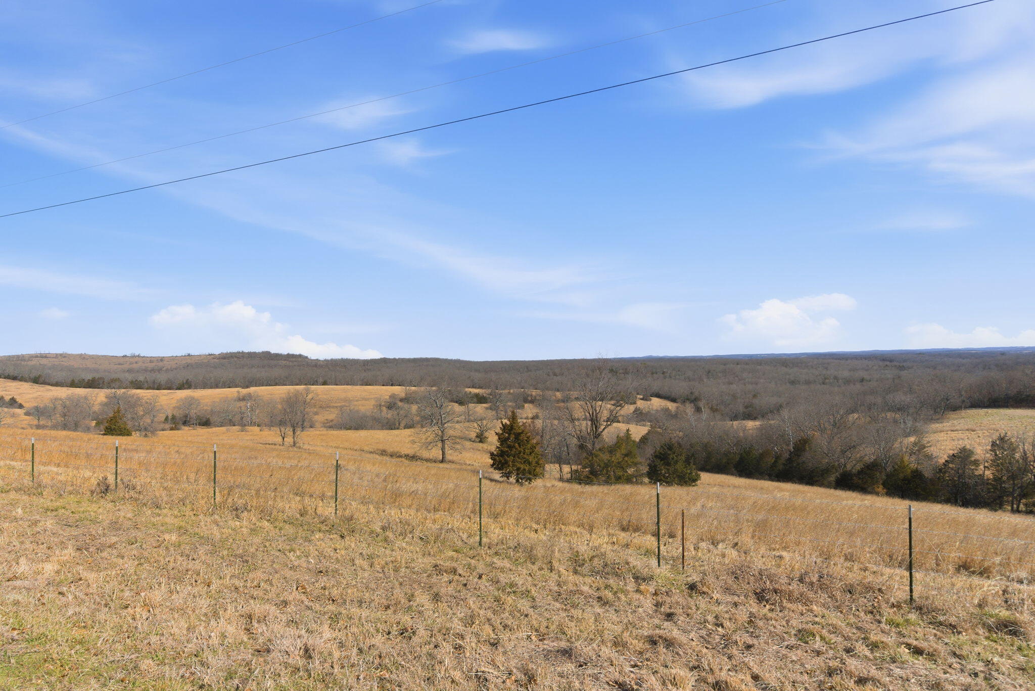 Photo 4 - Land for sale – 000  State Highway D Tract 1   Thornfield, MO