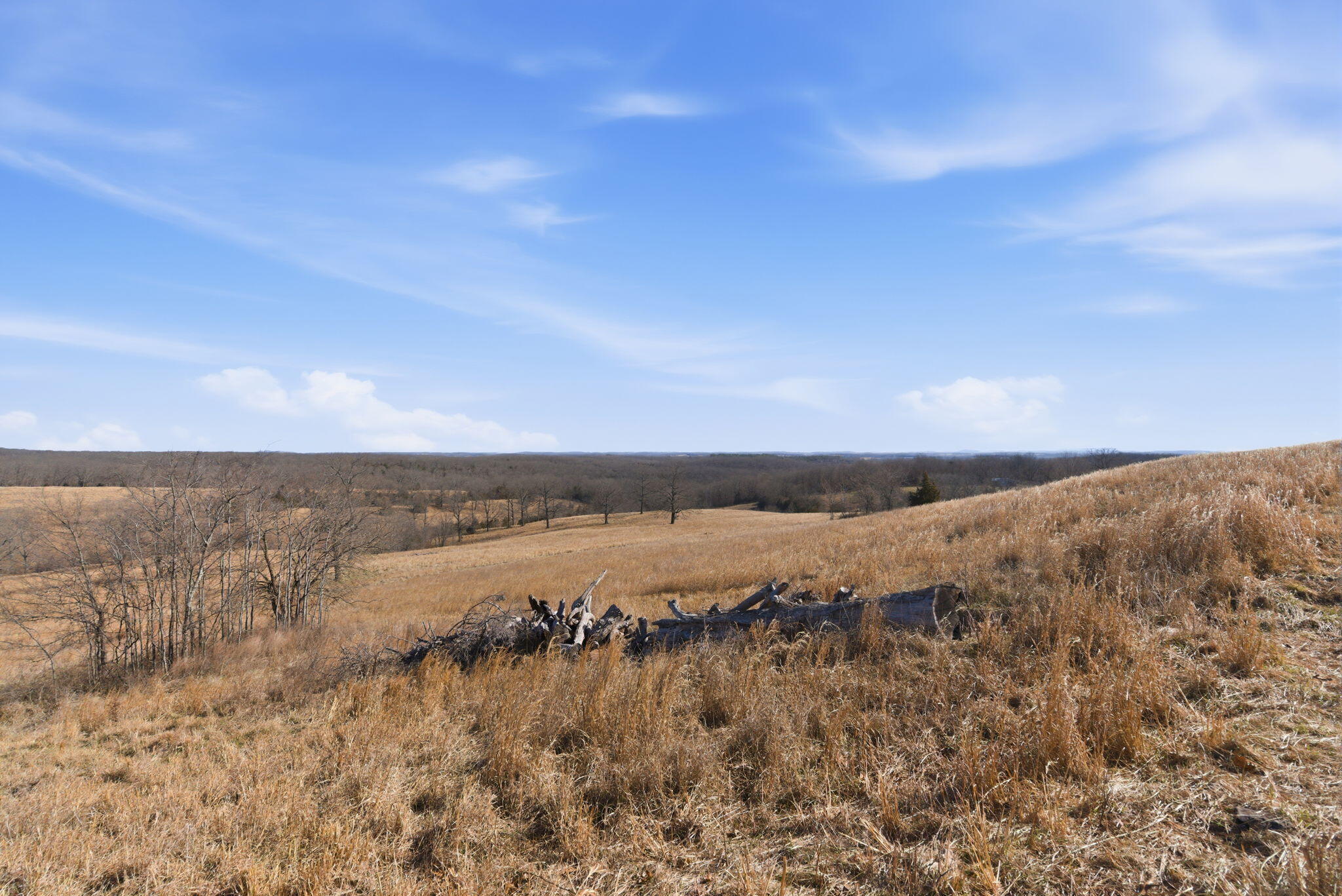Photo 5 - Land for sale – 000  State Highway D Tract 1   Thornfield, MO