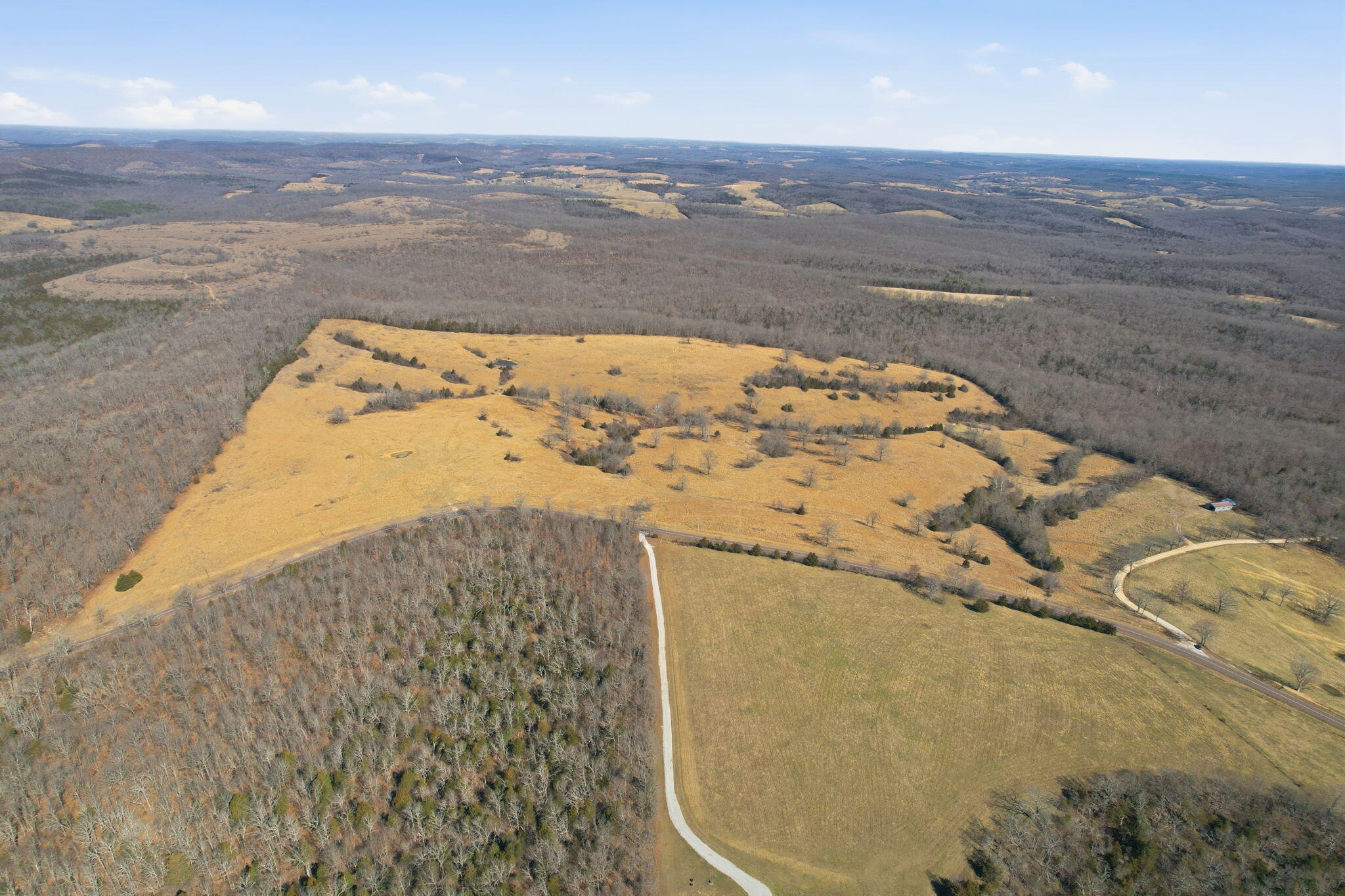 Photo 7 - Land for sale – 000  State Highway D Tract 1   Thornfield, MO